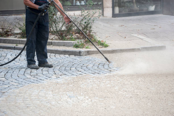 Best Driveway Pressure Washing  in Abita Springs, LA